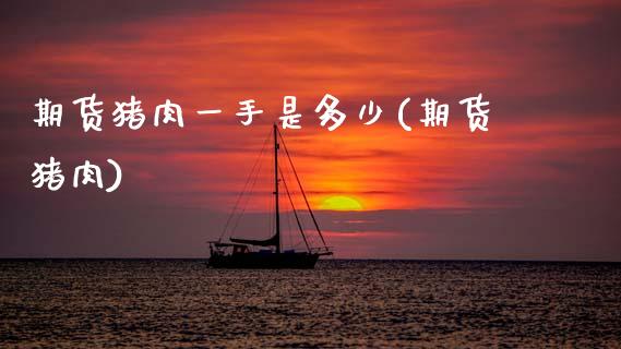 期货猪肉一手是多少(期货猪肉)_https://www.zztgc.com_期货入门_第1张