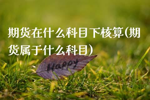 期货在什么科目下核算(期货属于什么科目)_https://www.zztgc.com_黄金期货_第1张