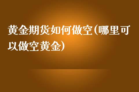 黄金期货如何做空(哪里可以做空黄金)_https://www.zztgc.com_原油期货_第1张