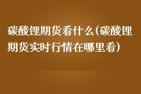 碳酸锂期货看什么(碳酸锂期货实时行情在哪里看)_https://www.zztgc.com_期货入门_第1张