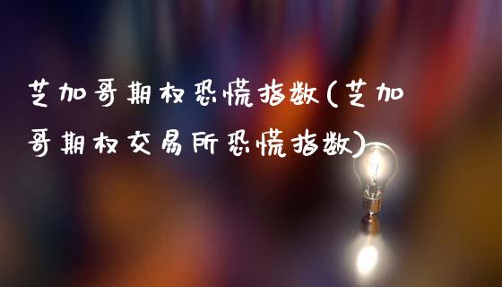 芝加哥期权恐慌指数(芝加哥期权交易所恐慌指数)_https://www.zztgc.com_期货行情_第1张