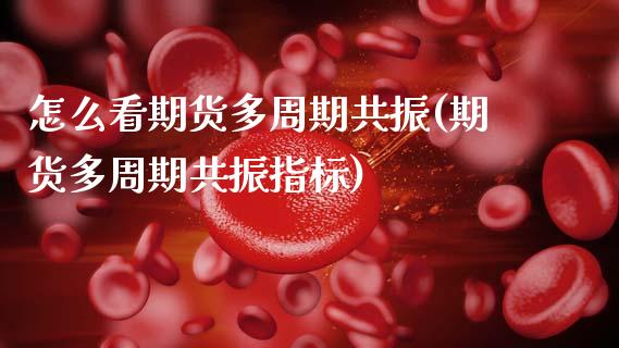 怎么看期货多周期共振(期货多周期共振指标)_https://www.zztgc.com_期货入门_第1张