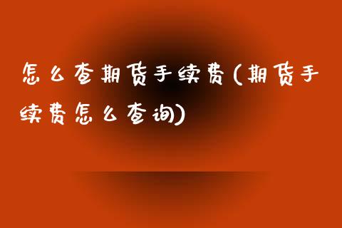 怎么查期货手续费(期货手续费怎么查询)_https://www.zztgc.com_黄金期货_第1张