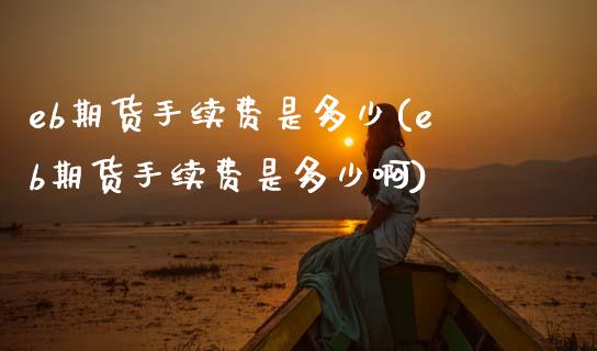 eb期货手续费是多少(eb期货手续费是多少啊)_https://www.zztgc.com_期货入门_第1张