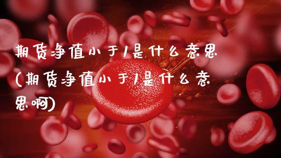 期货净值小于1是什么意思(期货净值小于1是什么意思啊)_https://www.zztgc.com_期货行情_第1张
