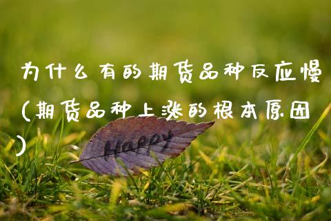 为什么有的期货品种反应慢(期货品种上涨的根本原因)_https://www.zztgc.com_期货入门_第1张