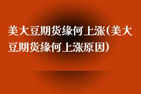 美大豆期货缘何上涨(美大豆期货缘何上涨原因)_https://www.zztgc.com_期货开户_第1张