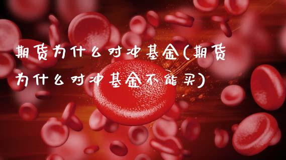 期货为什么对冲基金(期货为什么对冲基金不能买)_https://www.zztgc.com_原油期货_第1张