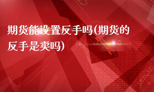 期货能设置反手吗(期货的反手是卖吗)_https://www.zztgc.com_期货行情_第1张