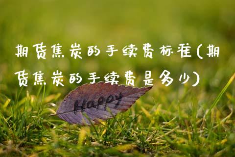 期货焦炭的手续费标准(期货焦炭的手续费是多少)_https://www.zztgc.com_原油期货_第1张