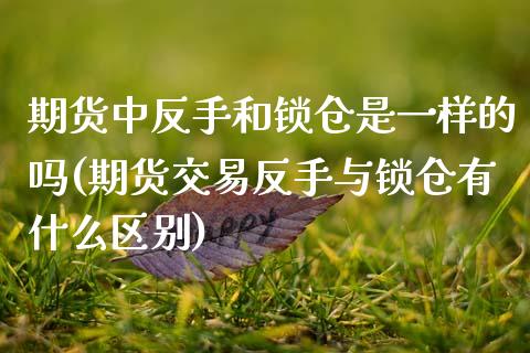 期货中反手和锁仓是一样的吗(期货交易反手与锁仓有什么区别)_https://www.zztgc.com_期货入门_第1张
