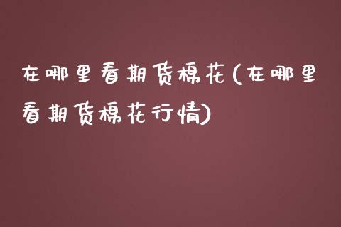 在哪里看期货棉花(在哪里看期货棉花行情)_https://www.zztgc.com_期货行情_第1张