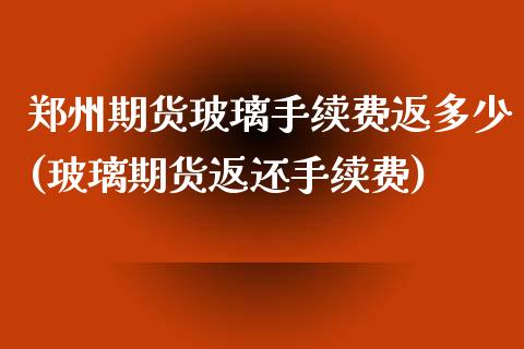 郑州期货玻璃手续费返多少(玻璃期货返还手续费)_https://www.zztgc.com_期货行情_第1张
