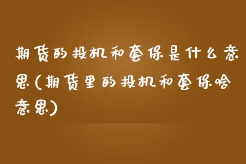 期货的投机和套保是什么意思(期货里的投机和套保啥意思)_https://www.zztgc.com_黄金期货_第1张