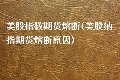 美股指数期货熔断(美股纳指期货熔断原因)_https://www.zztgc.com_期货行情_第1张
