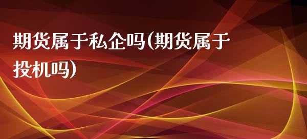 期货属于私企吗(期货属于投机吗)_https://www.zztgc.com_期货入门_第1张