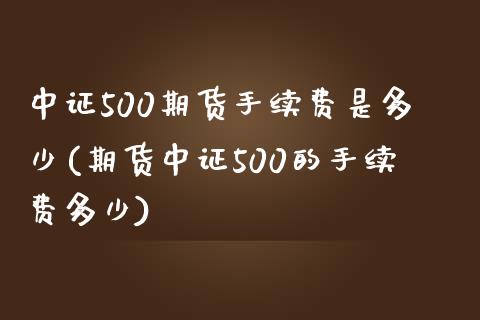 中证500期货手续费是多少(期货中证500的手续费多少)_https://www.zztgc.com_原油期货_第1张