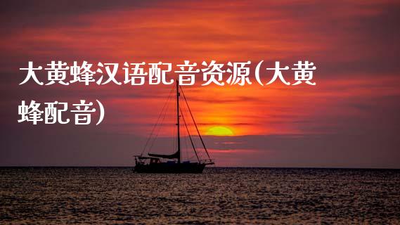 大黄蜂汉语配音资源(大黄蜂配音)_https://www.zztgc.com_黄金期货_第1张