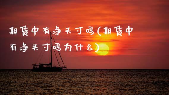 期货中有净头寸吗(期货中有净头寸吗为什么)_https://www.zztgc.com_期货行情_第1张