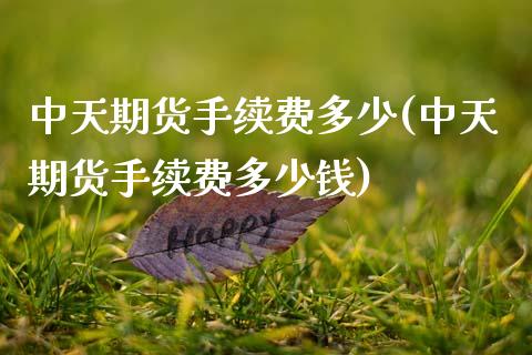 中天期货手续费多少(中天期货手续费多少钱)_https://www.zztgc.com_黄金期货_第1张