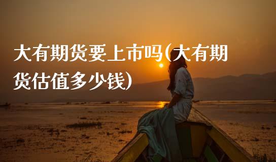 大有期货要上市吗(大有期货估值多少钱)_https://www.zztgc.com_期货直播_第1张