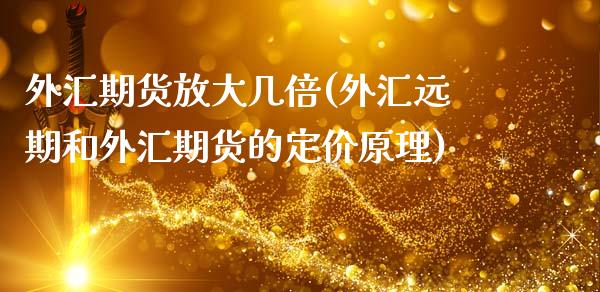 外汇期货放大几倍(外汇远期和外汇期货的定价原理)_https://www.zztgc.com_期货入门_第1张