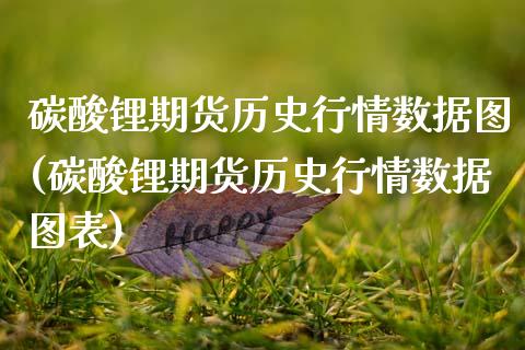 碳酸锂期货历史行情数据图(碳酸锂期货历史行情数据图表)_https://www.zztgc.com_黄金期货_第1张