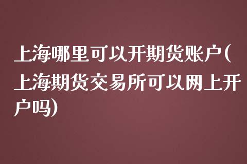 上海哪里可以开期货账户(上海期货交易所可以网上开户吗)_https://www.zztgc.com_期货开户_第1张