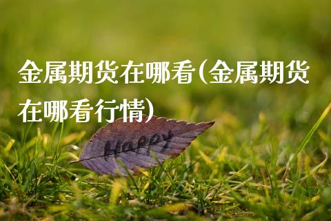 金属期货在哪看(金属期货在哪看行情)_https://www.zztgc.com_原油期货_第1张