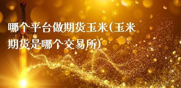 哪个平台做期货玉米(玉米期货是哪个交易所)_https://www.zztgc.com_期货直播_第1张