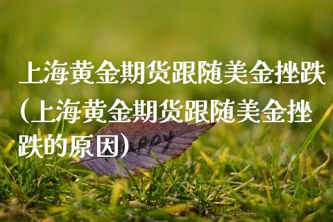上海黄金期货跟随美金挫跌(上海黄金期货跟随美金挫跌的原因)_https://www.zztgc.com_期货入门_第1张