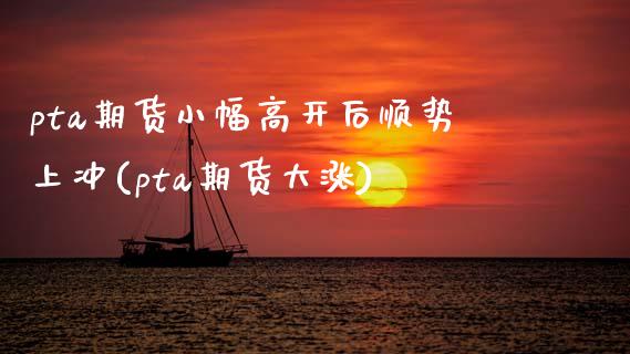 pta期货小幅高开后顺势上冲(pta期货大涨)_https://www.zztgc.com_期货直播_第1张