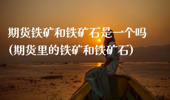 期货铁矿和铁矿石是一个吗(期货里的铁矿和铁矿石)_https://www.zztgc.com_期货直播_第1张