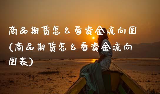 商品期货怎么看资金流向图(商品期货怎么看资金流向图表)_https://www.zztgc.com_期货直播_第1张