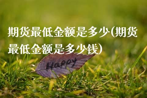 期货最低金额是多少(期货最低金额是多少钱)_https://www.zztgc.com_期货开户_第1张