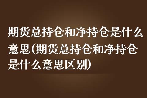 期货总持仓和净持仓是什么意思(期货总持仓和净持仓是什么意思区别)_https://www.zztgc.com_黄金期货_第1张
