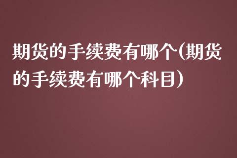 期货的手续费有哪个(期货的手续费有哪个科目)_https://www.zztgc.com_期货行情_第1张