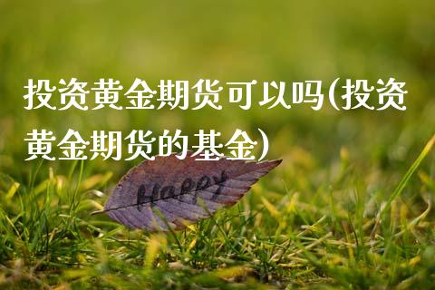 投资黄金期货可以吗(投资黄金期货的基金)_https://www.zztgc.com_期货直播_第1张