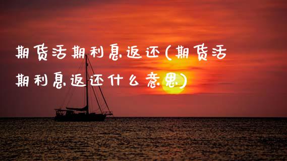 期货活期利息返还(期货活期利息返还什么意思)_https://www.zztgc.com_期货行情_第1张