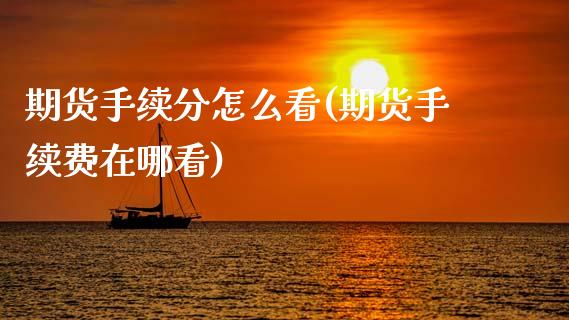 期货手续分怎么看(期货手续费在哪看)_https://www.zztgc.com_期货直播_第1张