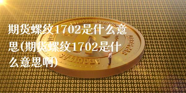 期货螺纹1702是什么意思(期货螺纹1702是什么意思啊)_https://www.zztgc.com_期货直播_第1张