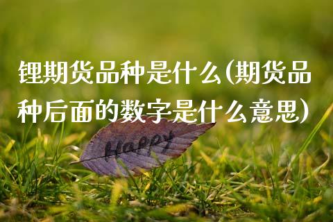 锂期货品种是什么(期货品种后面的数字是什么意思)_https://www.zztgc.com_期货直播_第1张