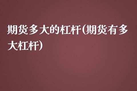 期货多大的杠杆(期货有多大杠杆)_https://www.zztgc.com_黄金期货_第1张