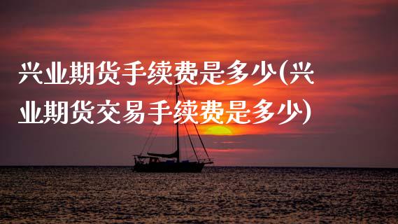 兴业期货手续费是多少(兴业期货交易手续费是多少)_https://www.zztgc.com_期货行情_第1张