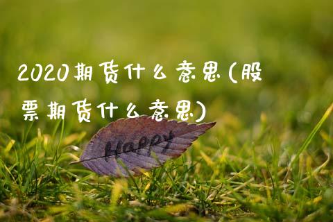 2020期货什么意思(股票期货什么意思)_https://www.zztgc.com_期货直播_第1张