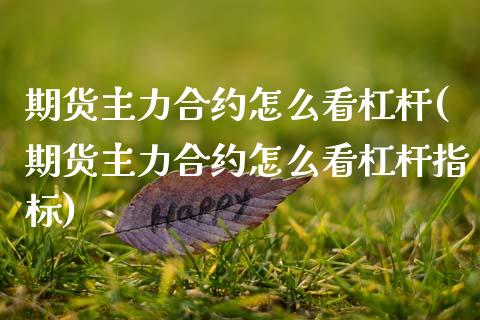 期货主力合约怎么看杠杆(期货主力合约怎么看杠杆指标)_https://www.zztgc.com_期货开户_第1张