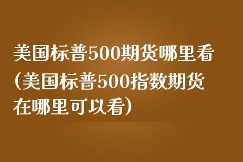 美国标普500期货哪里看(美国标普500指数期货在哪里可以看)_https://www.zztgc.com_黄金期货_第1张