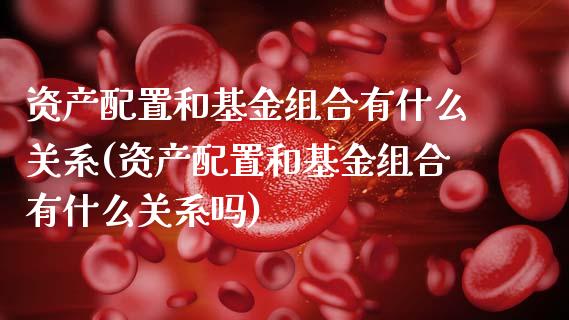 资产配置和基金组合有什么关系(资产配置和基金组合有什么关系吗)_https://www.zztgc.com_期货入门_第1张