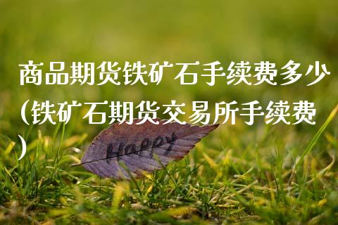 商品期货铁矿石手续费多少(铁矿石期货交易所手续费)_https://www.zztgc.com_期货入门_第1张