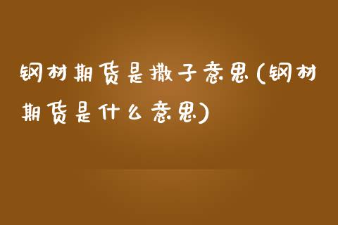 钢材期货是撒子意思(钢材期货是什么意思)_https://www.zztgc.com_期货开户_第1张